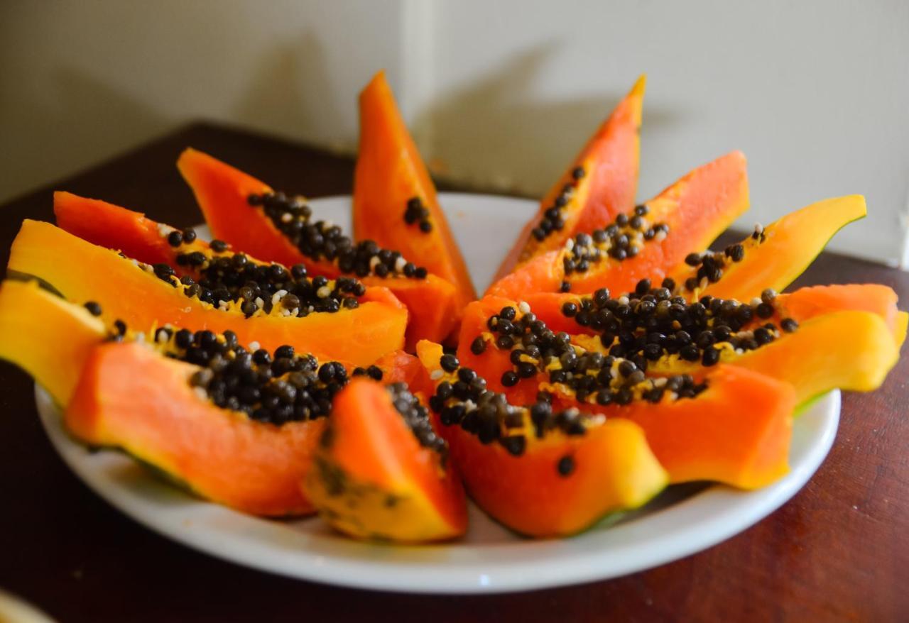 Pousada Grauca مورو دي ساو باولو المظهر الخارجي الصورة